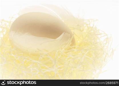 Egg and Bird nest