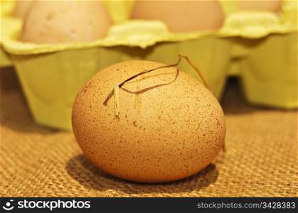 egg . egg