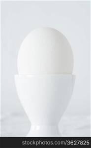 Egg in egg cup, studio shot