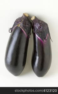 Egg plant