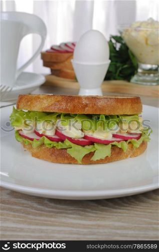egg sandwich with lettuce radish under