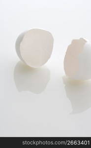 Egg shell