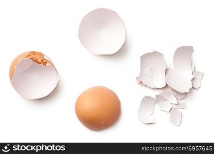Egg shell isolated on white background. Top view. Egg Shell Isolated on White Background