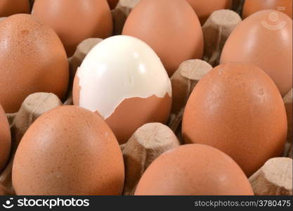 Egg tray with an egg with a once peeled peel.