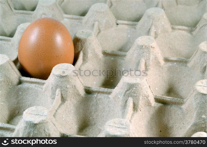 Egg tray with brown free range egg.