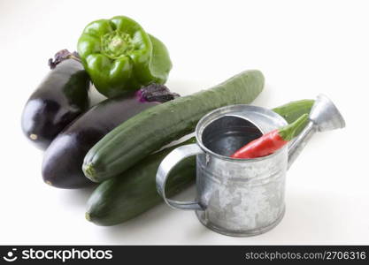 Eggplant