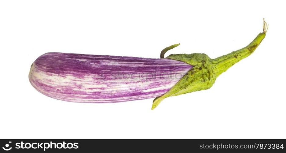 Eggplant. Eggplant isolated on white.