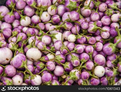 Eggplant purple background in the vegetable market / Thai eggplant asia