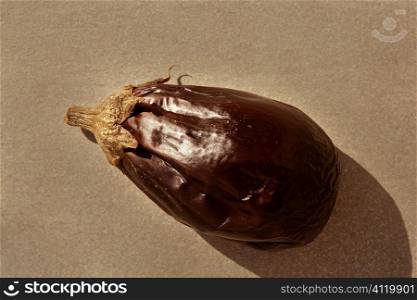 Eggplant rosted isolated on gray background