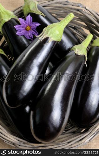 Eggplants of black colour in a basket