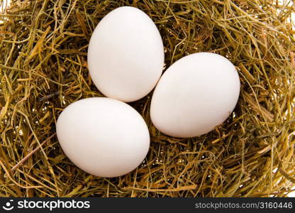 Eggs