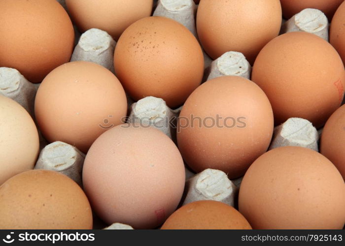 eggs