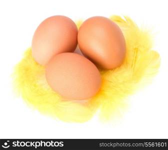 Eggs and feather isolated on white background. Easter decor.