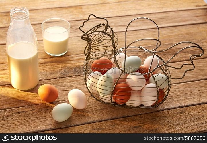 Eggs and milk in a vintage hen shape basket on wood with blue easter white and brown