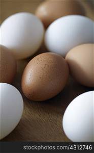 Eggs, close-up