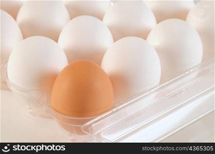 Eggs. Conceptual.