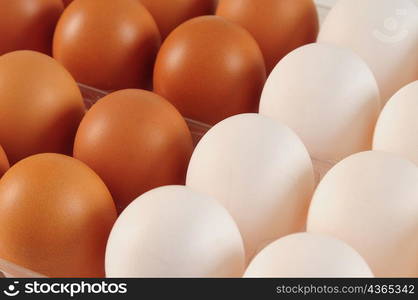 Eggs. Conceptual.