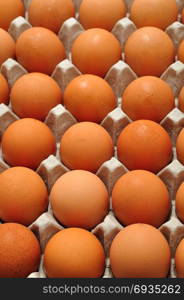 Eggs displayed in a container