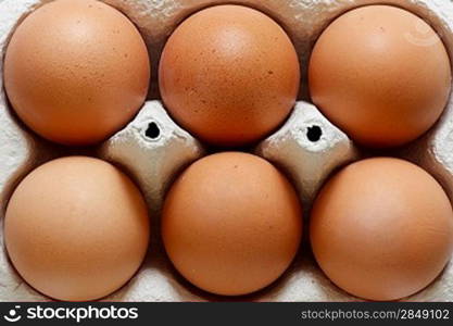 Eggs in an egg carton