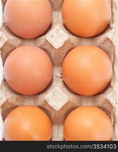 eggs in carton tray isolated on white