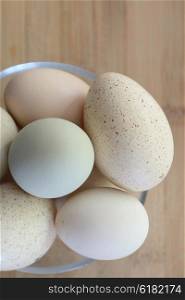 Eggs in different colors and sizes