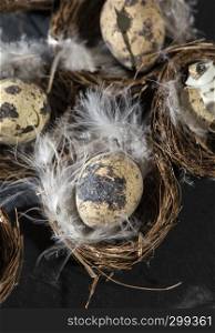 Eggs in nest and white feathers. Easter concept with small eggs on dark background.