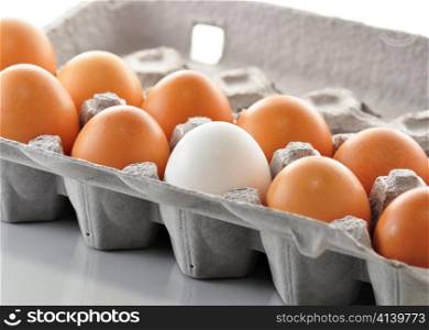 eggs in the box , close up