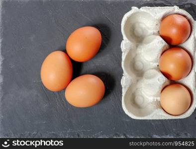 Eggs in the egg panel, close up