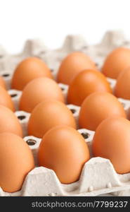 eggs in the package isolated on a white