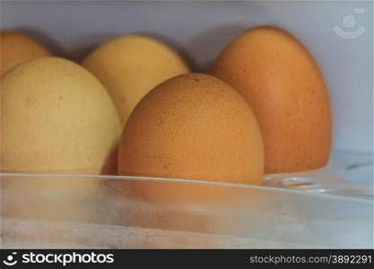 Eggs lying on a regiment in a refrigerator