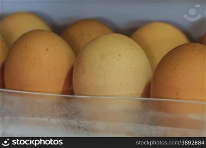 Eggs lying on a regiment in a refrigerator