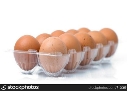 eggs packed isolated white background