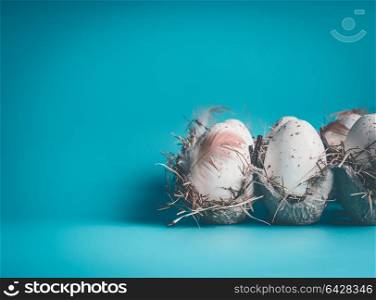 Eggs with feathers in carton box package on blue background, front view. Organic egg . Easter concept