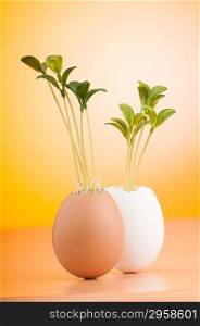 Eggs with green seedling in new life concept