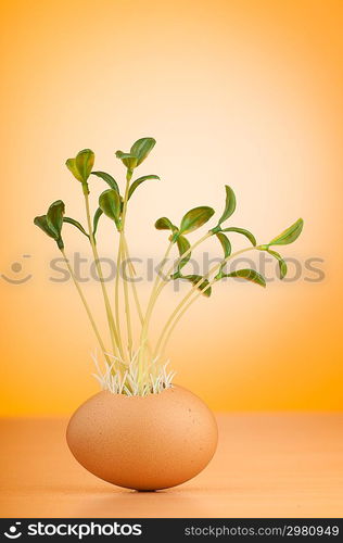 Eggs with green seedling in new life concept