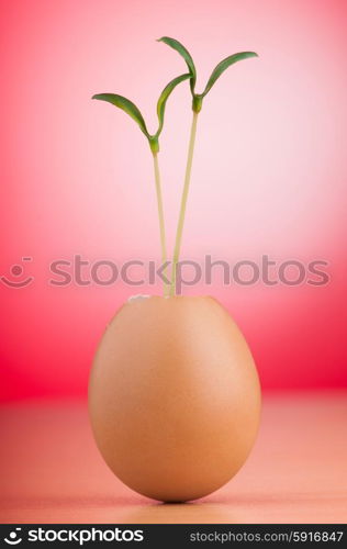 Eggs with green seedling in new life concept