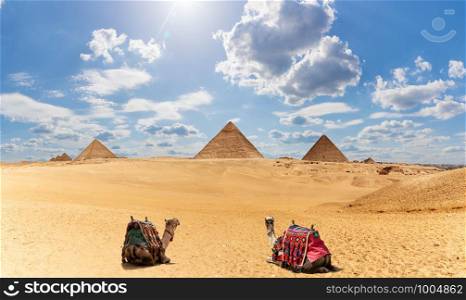 Egypt Pyramids panorama with two camels under the clouds.. Egypt Pyramids panorama with two camels under the clouds