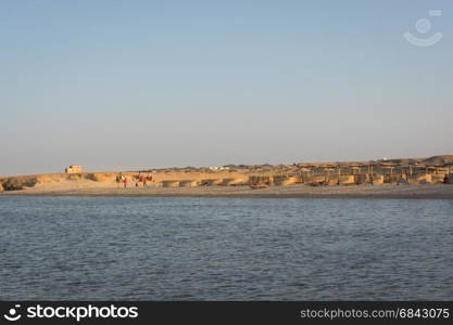 Egyptian beaches with typical parasols in the background and red sea in frontground.