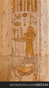 Egyptian drawings and hyerogliphs on the column of Hatshepsut Temple close up. Egyptian drawings and hyerogliphs close up