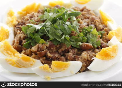 Egyptian foul - or ful - medames on a plate garneshed with slices of hard-boiled egg and flat-leaf parsley. Foulm made from fava beans, lemon juice, olive oil, cumin powder, cayenne salt and black pepper is probably Egypt&rsquo;s most famous food.