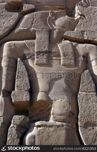 Egyptian god Horus on the wall of kom Ombo temple, Egypt