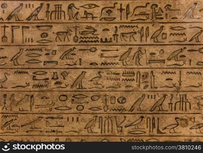 Egyptian hieroglyph on limestone, 1500-1200 BC