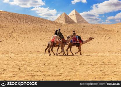 Egyptian men on camels in the sands of Giza near the Pyramids.. Egyptian men on camels in the sands of Giza near the Pyramids