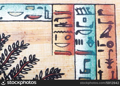 Egyptian papyrus as a background
