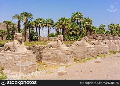 Egyptian sphinxes