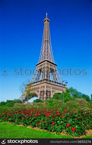 Eiffel Tower and park with roses at a sunny summer day, Paris, France