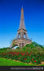 Eiffel Tower and park with roses at a sunny summer day, Paris, France
