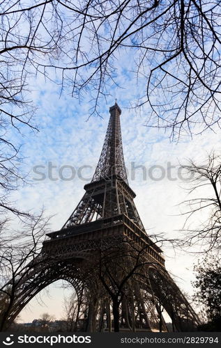 eiffel tower and tree branches in Paris in spring evening