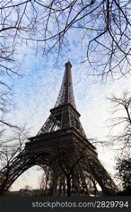 eiffel tower and tree branches in Paris in spring evening