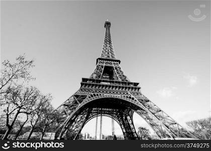 Eiffel Tower at day in Paris, France. Black and white photographs